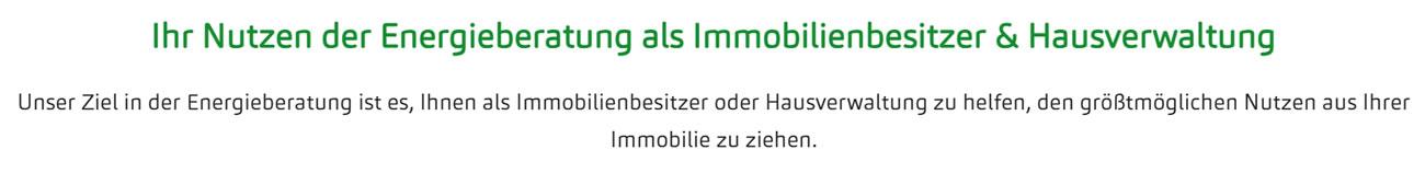 Energetische Beratung 